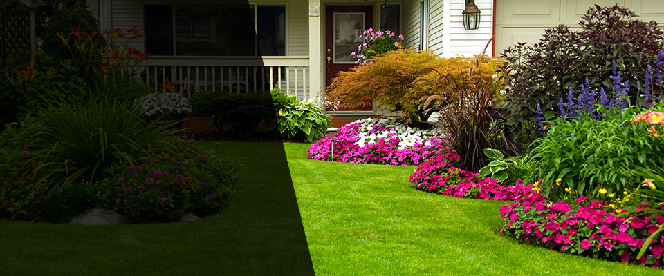Galveston Landscapers